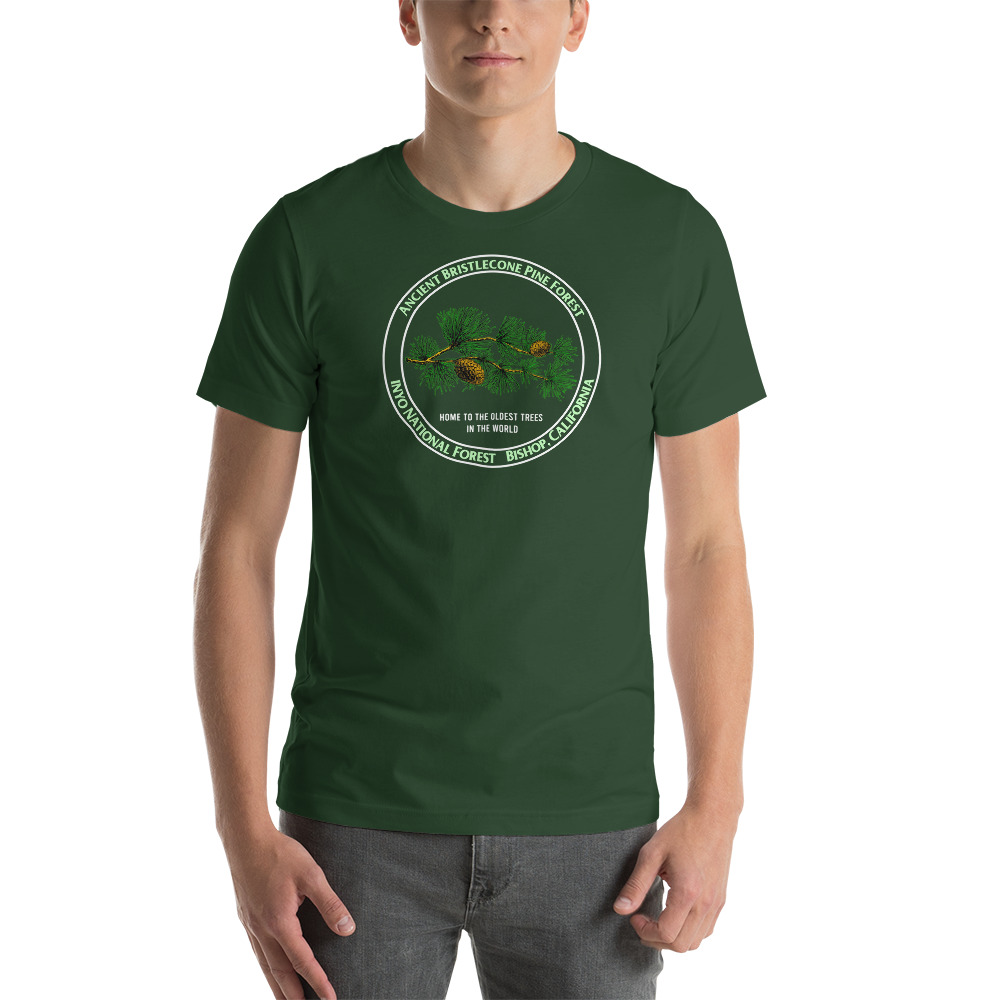 unisex-staple-t-shirt-forest-front-610975bf49161.jpg